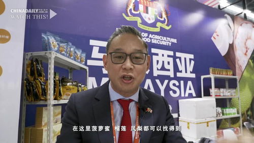 中國(guó)日?qǐng)?bào)專稿 信息網(wǎng)絡(luò)傳播視聽節(jié)目的現(xiàn)狀與展望